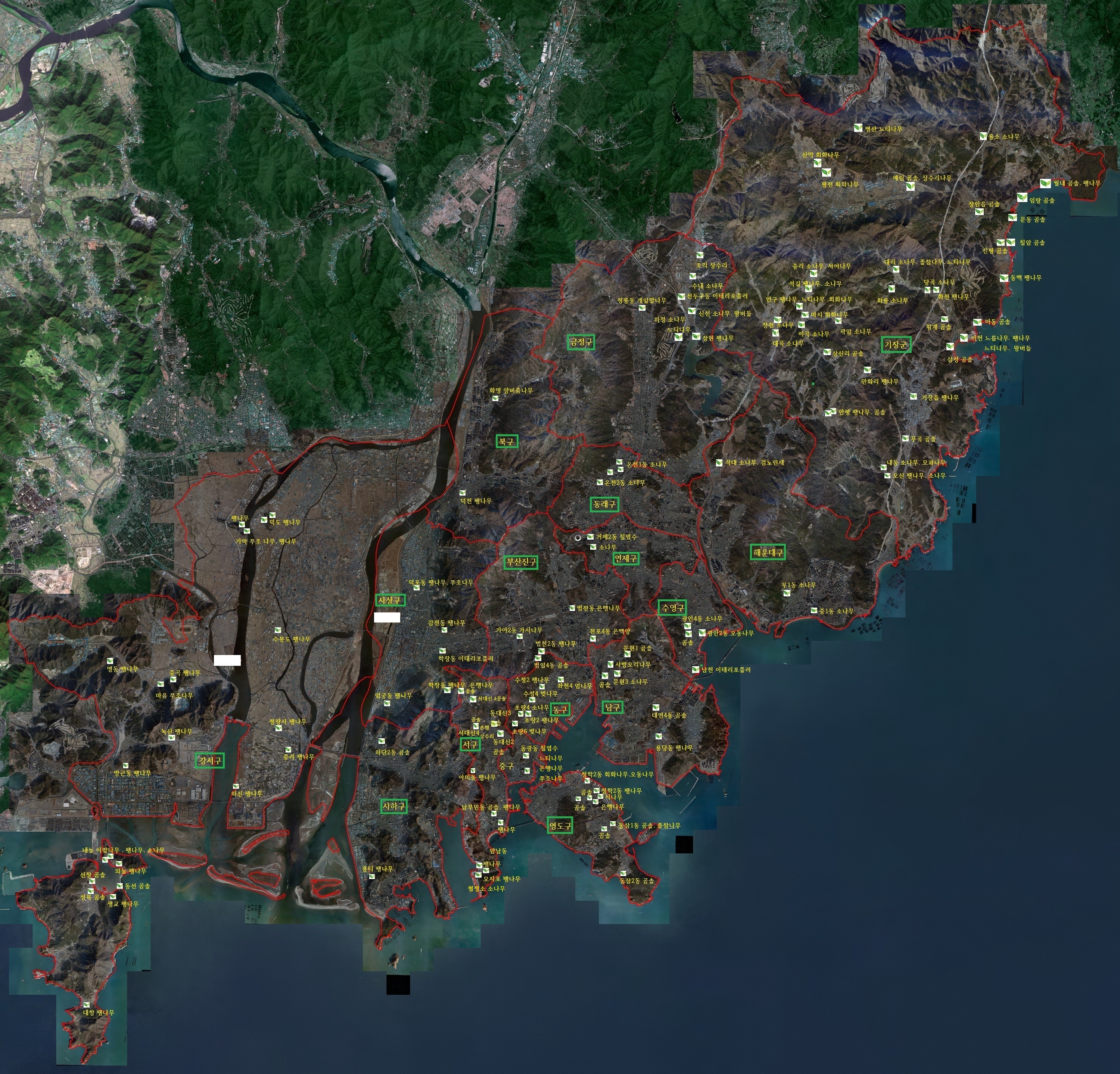 터줏대감 수종별 분포지도.jpg