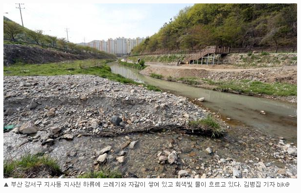 생태하천20년 기사.PNG