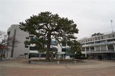 수령 수백ㄴ.PNG