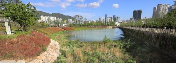 시민공원 2주년.jpg