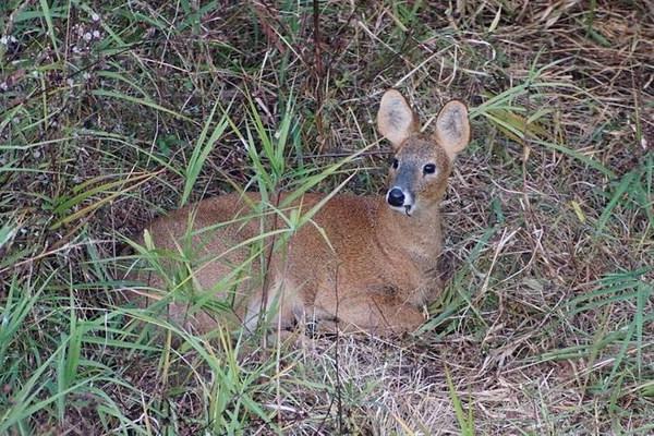 시민공원 2주년 1.jpg