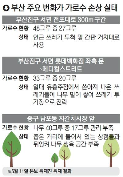 가로수2.jpg