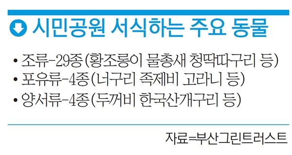 시민공원 2주년 2.jpg