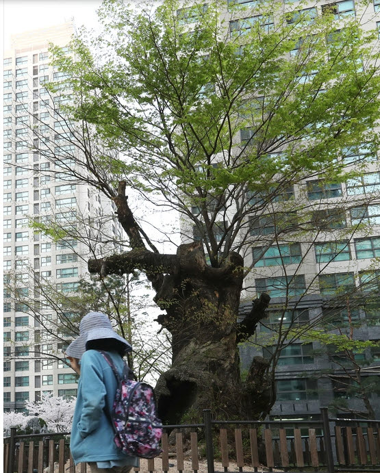 사본 -2017-04-12 09;19;52.jpg