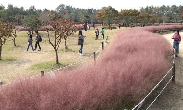 20181022000287_0.jpg